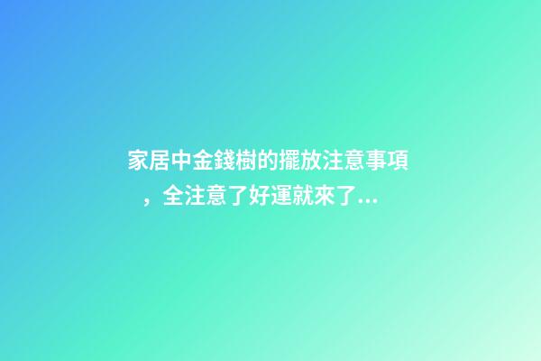 家居中金錢樹的擺放注意事項，全注意了好運就來了！
